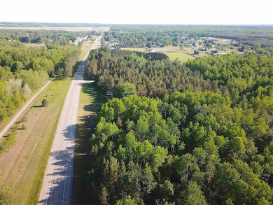 000 Vacant U S 31, Pellston, MI 49769 - photo 6