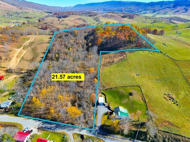 37.55 ac B F Buchanan Highway Quarter Horse Cir, Tazewell, VA 24608 - photo 2