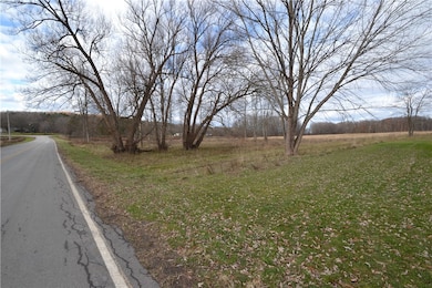 6111 Austin Rd, Newark, NY 14513 - photo 5