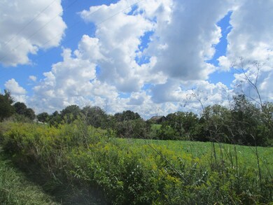 5060 Mason Ln, Mayslick, KY 41055 - photo 4