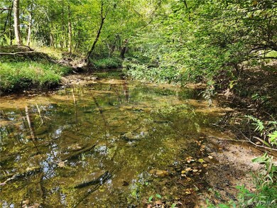 Lot 3 Walnut Shade Rd, Louisa, VA 23093 - photo 3