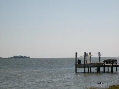 Neighbor's dock