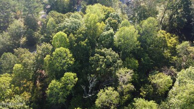 0 Hillrose Dr, Baxter, TN 38544 - photo 6