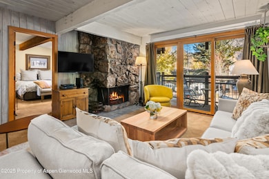 131 E Durant Ave unit 202, Aspen, CO 81611 - photo 4