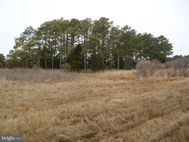 1748 E Tedious Creek Rd, Toddville, MD 21672 - photo 6