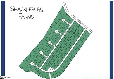 611 Fern Hollow Trail, Anderson, SC 29621 - photo 3