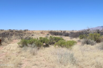 0 W Eeyore Ln unit 22510381, Benson, AZ 85602 - photo 2