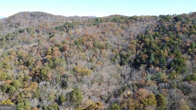 0 Benfield Ln unit 10655737, Clarkesville, GA 30523 - photo 7