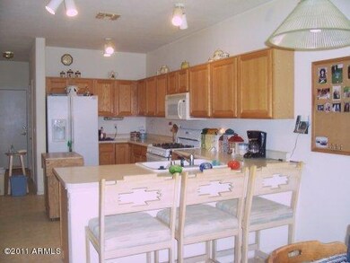 Large Open Kitchen