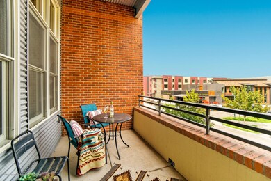 231 Robinson St 214 Basalt CO-large-003-