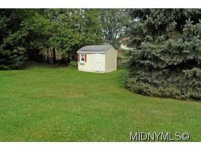 Huge yard and shed