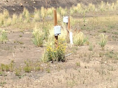 33079 Mountain Meadow Overlook unit Lot D11, Trinidad, CO 81082 - photo 5