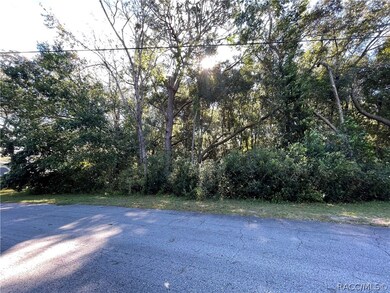 8775 N Limbo Cir, Citrus Springs, FL 34434 - photo 2