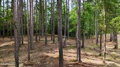 DJI_20250605160535_0677_D.00_00_49_20.St