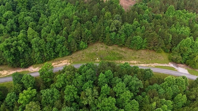 0 Lots 218 and 219 Stoney Point, Double Springs, AL 35553 - photo 2