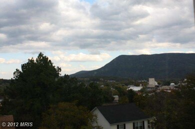 341 Newman St, Strasburg, VA 22657 - photo 5