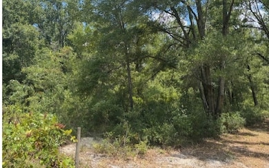 TBD 208th St, O Brien, FL 32071 - photo 2