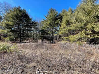 Lot 19 Mountain Springs Rd, Milford, PA 18337 - photo 6