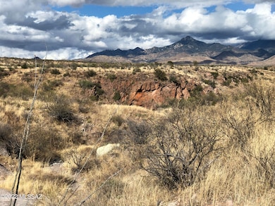 140 Canyon Pass Ct unit 96, Rio Rico, AZ 85648 - photo 2