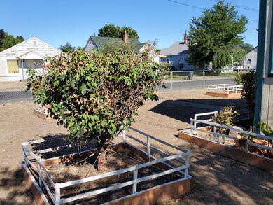 View of Front Yard