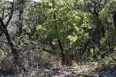 6525 Archerfield Ct W, Cleburne, TX 76033 - photo 5