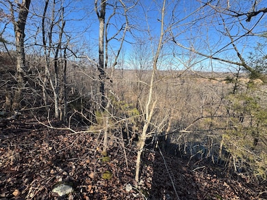 60 B Tablerock Rd, Evening Shade, AR 72532 - photo 5