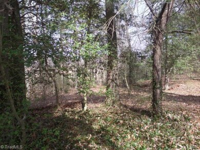 L 18 Mountain Meadow Ln, Purlear, NC 28665 - photo 3