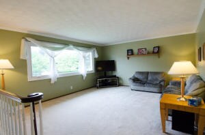 1001 Acorn-9