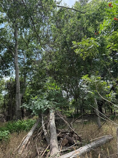 View of local wilderness