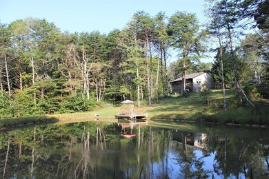 Pond Deck & Home