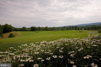 15250 Cider Mill Rd, Purcellville, VA 20132 - photo 6