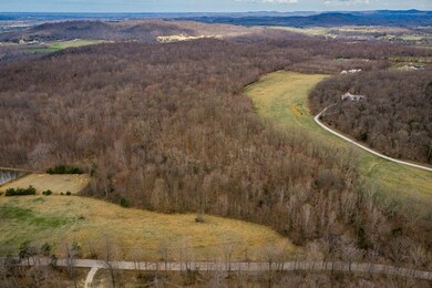 18.2ac Milk Barn Ln Tract 4, Cookeville, TN 38506 - photo 4