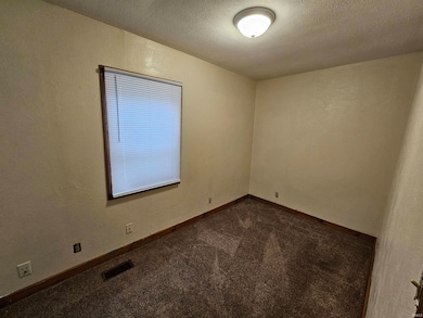 1321 W Sample St, South Bend, IN 46619 - photo 6