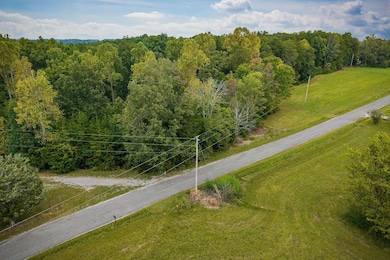 0 Obie Adcock Rd unit RTC2990343, Smithville, TN 37166 - photo 3