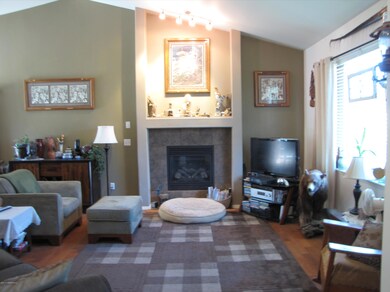 Fireplace/Living Room
