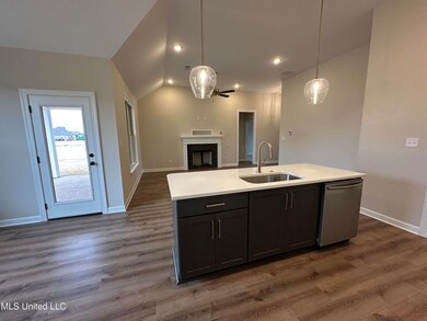 3067 School Loop Rd, Lake Cormorant, MS 38641 - photo 6