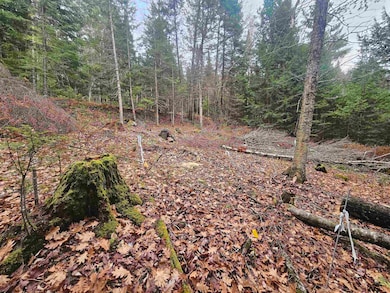 35 Langway Rd, Lyman, NH 03585 - photo 6