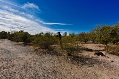 2321 E Greenlee Rd unit 2321, Tucson, AZ 85719 - photo 6