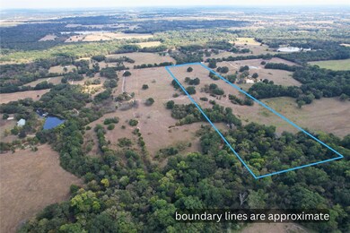 00 County Road 1155, Brashear, TX 75420 - photo 5