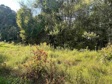 2389 Bowers Store Rd, Siler City, NC 27344 - photo 3