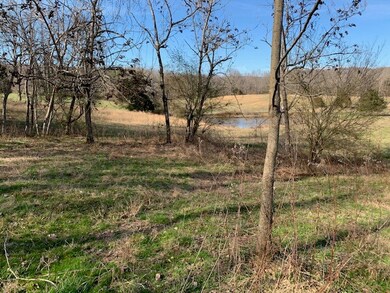 000 Big Bottom Rd, Sparta, TN 38583 - photo 2