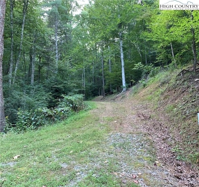 Upper tract partially improved driveway