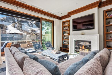 632 E Hopkins 301 Aka 119 S Spring St, Aspen, CO 81611 - photo 7