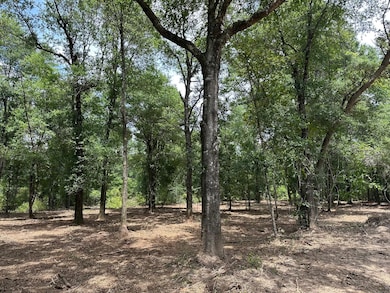 0 Newman Rd unit 22348697, Mobile, AL 36695 - photo 6