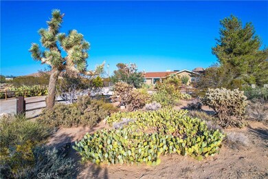 8775 Desert Shadow Rd, Joshua Tree, CA 92252 - photo 3