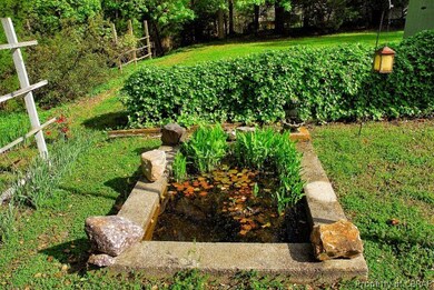 Pond