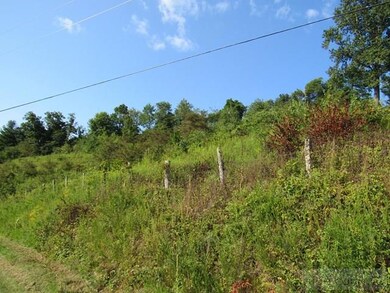 Road view from N. Fork New River Road