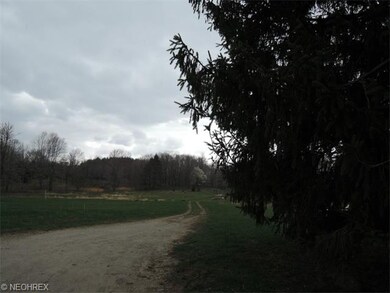 Another view of the back of the acreage.