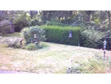 Additional Photo