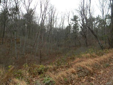 0 Lumber Ln unit 507004, New Ringgold, PA 17960 - photo 2